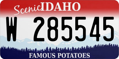 ID license plate W285545