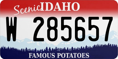 ID license plate W285657