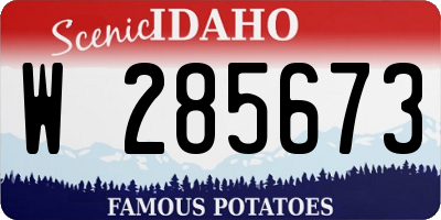 ID license plate W285673