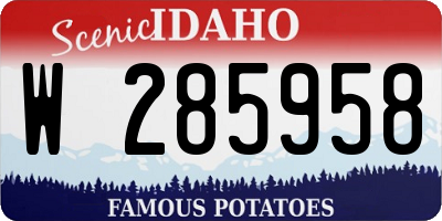ID license plate W285958