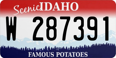 ID license plate W287391