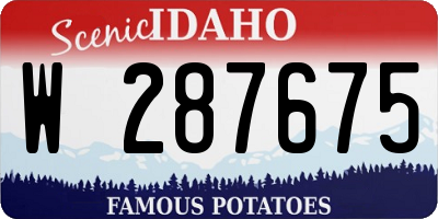 ID license plate W287675
