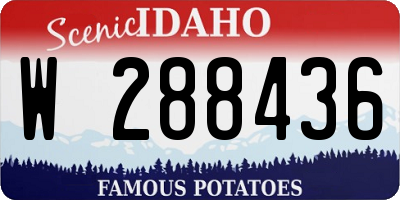 ID license plate W288436