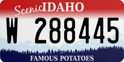 ID license plate W288445