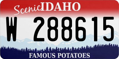 ID license plate W288615