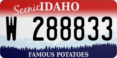ID license plate W288833
