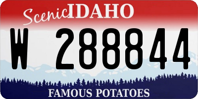 ID license plate W288844
