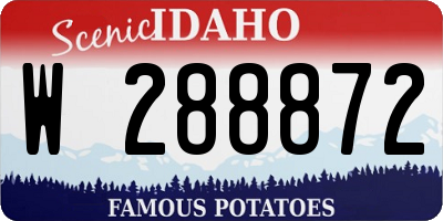ID license plate W288872
