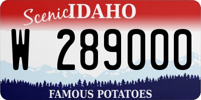 ID license plate W289000