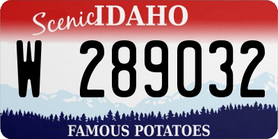 ID license plate W289032