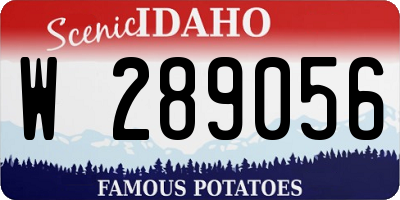 ID license plate W289056