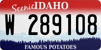 ID license plate W289108