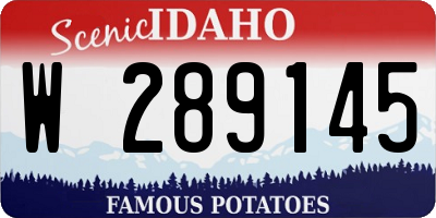 ID license plate W289145