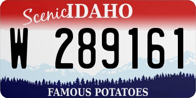 ID license plate W289161
