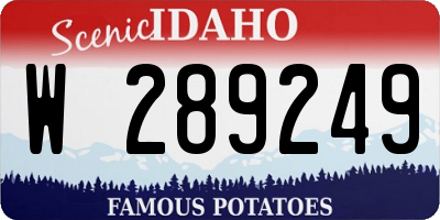 ID license plate W289249