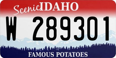 ID license plate W289301