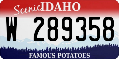 ID license plate W289358
