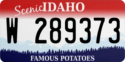 ID license plate W289373