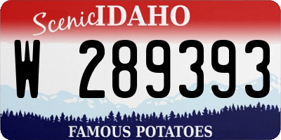ID license plate W289393