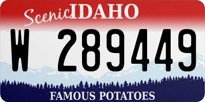 ID license plate W289449