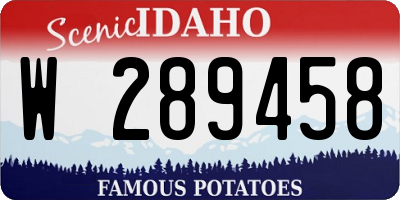 ID license plate W289458