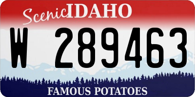 ID license plate W289463