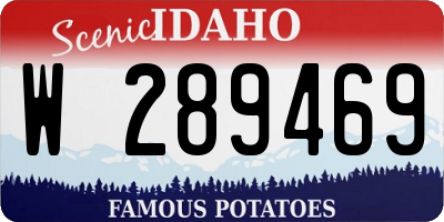 ID license plate W289469