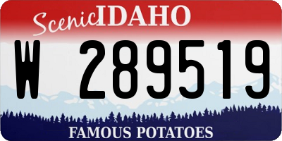 ID license plate W289519
