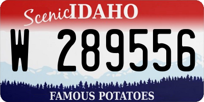 ID license plate W289556