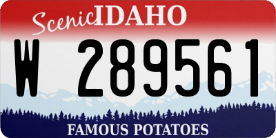ID license plate W289561
