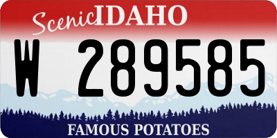 ID license plate W289585