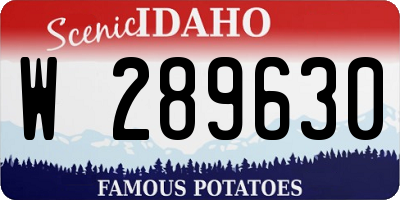 ID license plate W289630