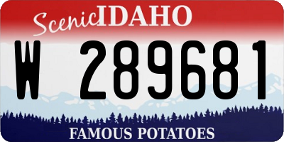 ID license plate W289681