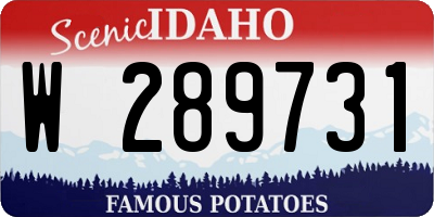 ID license plate W289731