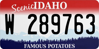 ID license plate W289763