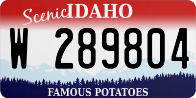 ID license plate W289804
