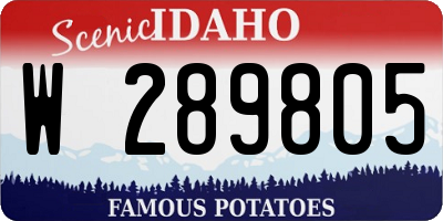 ID license plate W289805
