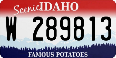 ID license plate W289813