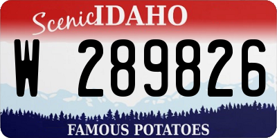 ID license plate W289826