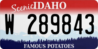 ID license plate W289843
