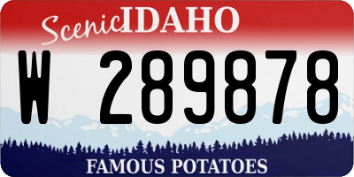 ID license plate W289878