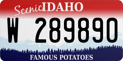 ID license plate W289890