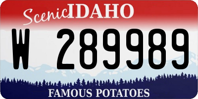 ID license plate W289989