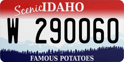 ID license plate W290060