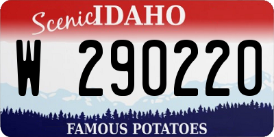 ID license plate W290220