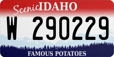 ID license plate W290229
