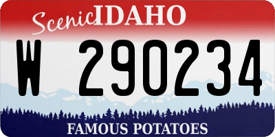 ID license plate W290234