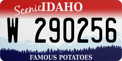 ID license plate W290256