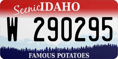 ID license plate W290295