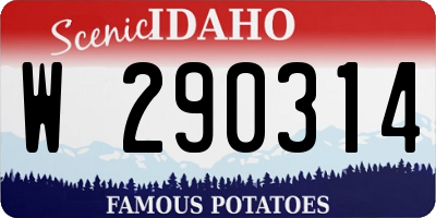ID license plate W290314